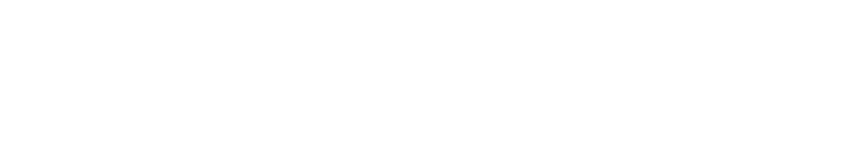 FlyingX Media Logo